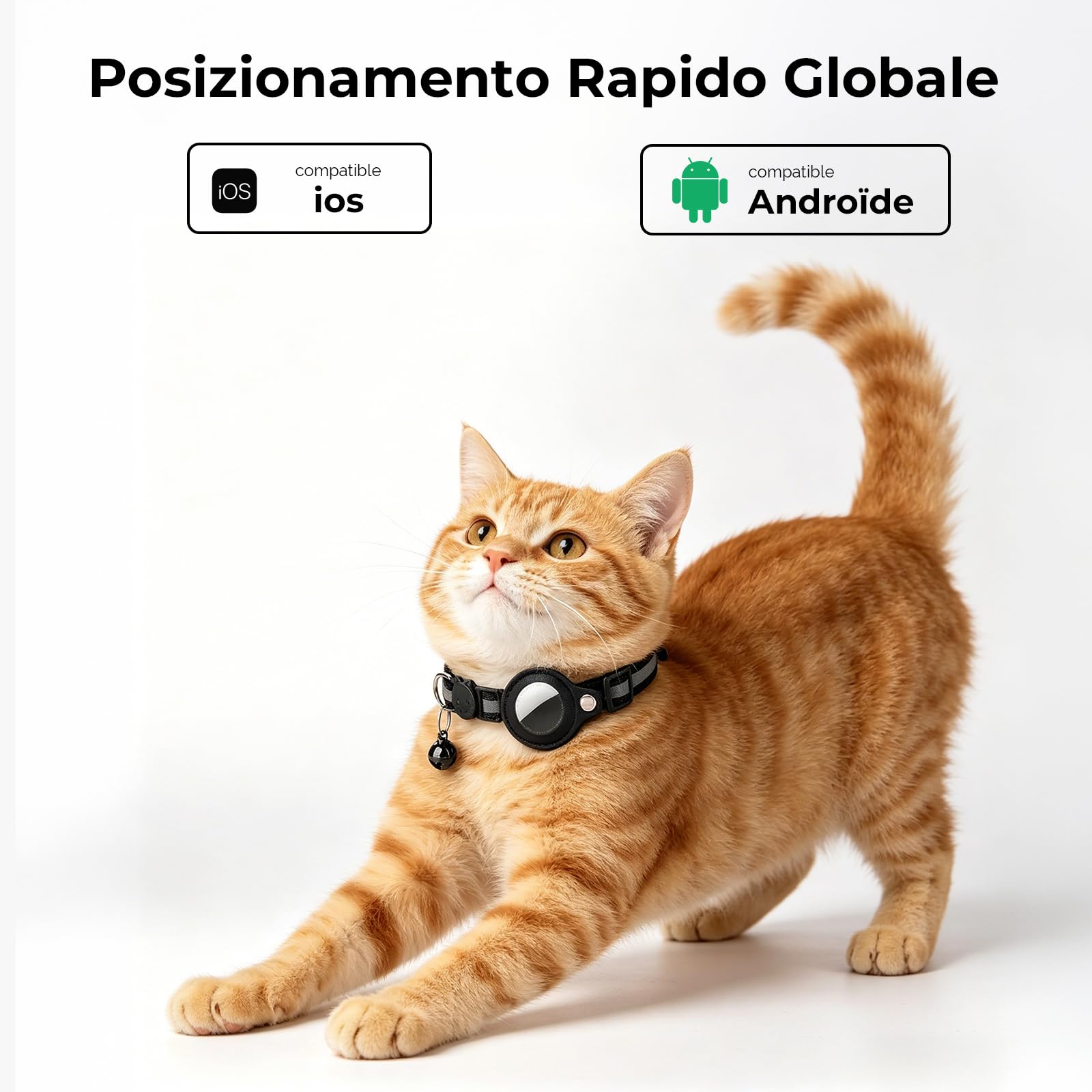 Localizzatore GPS per Gatto, Collare per Cani con Posizionamento Ausiliario, Cronologia delle posizioni, Cat Tracker, Senza Abbonamento Compatibile con IOS & Android