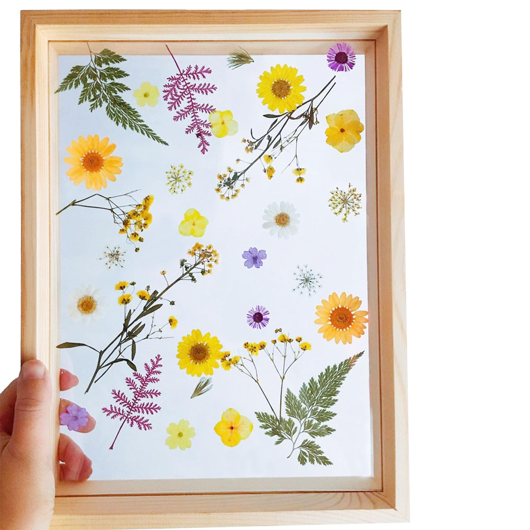 Woohome 160PCS Real Pressed Flowers - Image 3