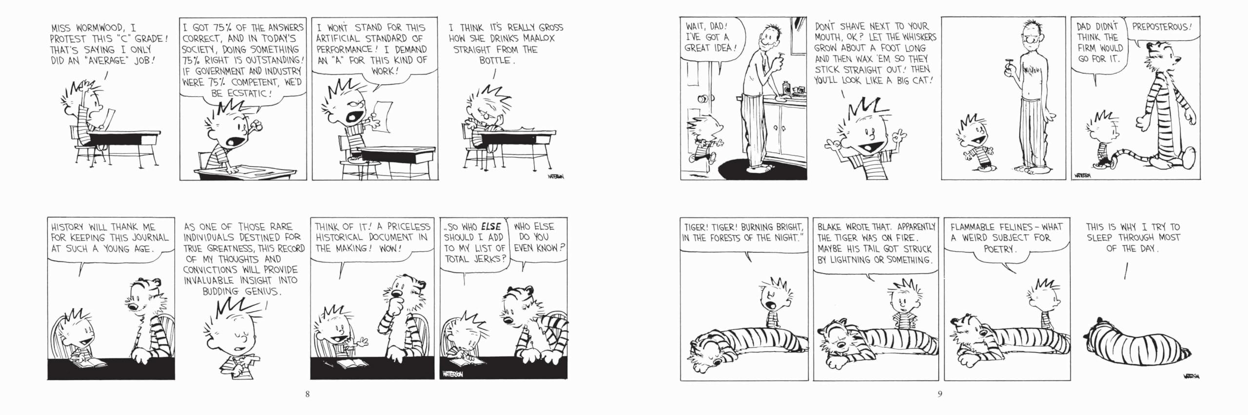 Calvin and Hobbes Portable Compendium Set 6: Volume 6