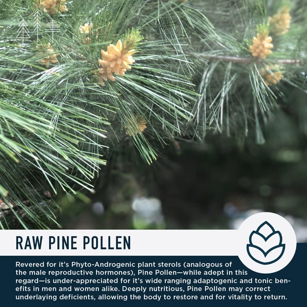 Royal Pine Pollen Tincture — Adaptogenic, Pro-Androgenic, Endocrine Health Support — Pure RAW Pine Pollen — Full Potency Bioavailable Dual-Stage Tincture — Men & Women — Vegan, Gluten Free — 2 Ounces : Health & Household