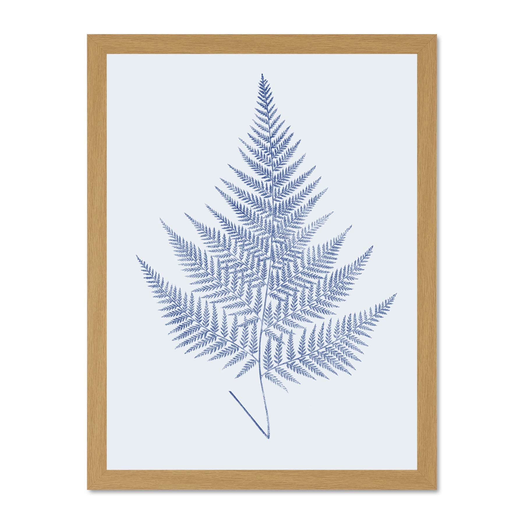 Wee Blue Coo Botanics Cobalt Fern Eppusum Large Light Oak Framed Art Print Wall Poster 18x24 inch