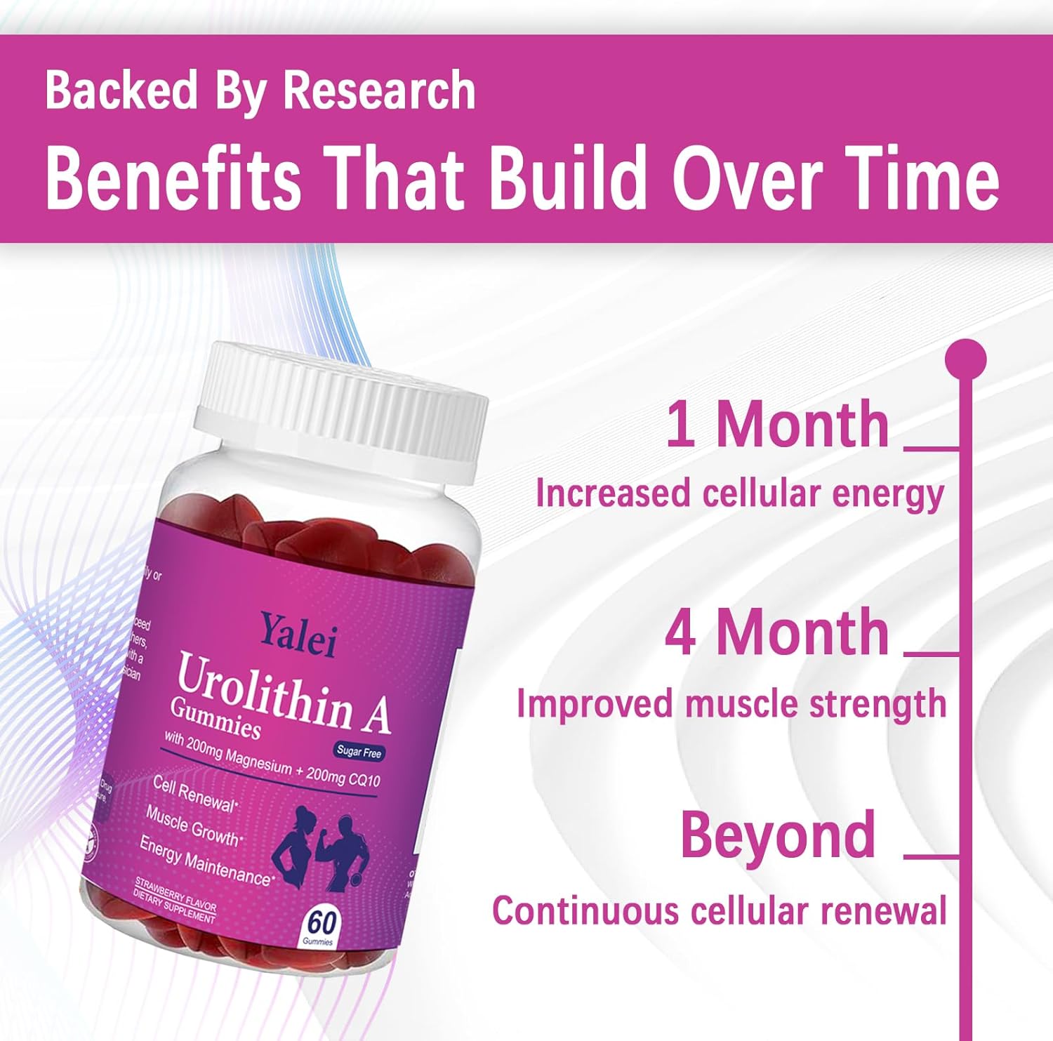 Urolithin A Supplement Gummies | Mitoceutical for Muscle Strength & Longevity & Cellular Renewal | Sugar Free | High Absorption - Image 6