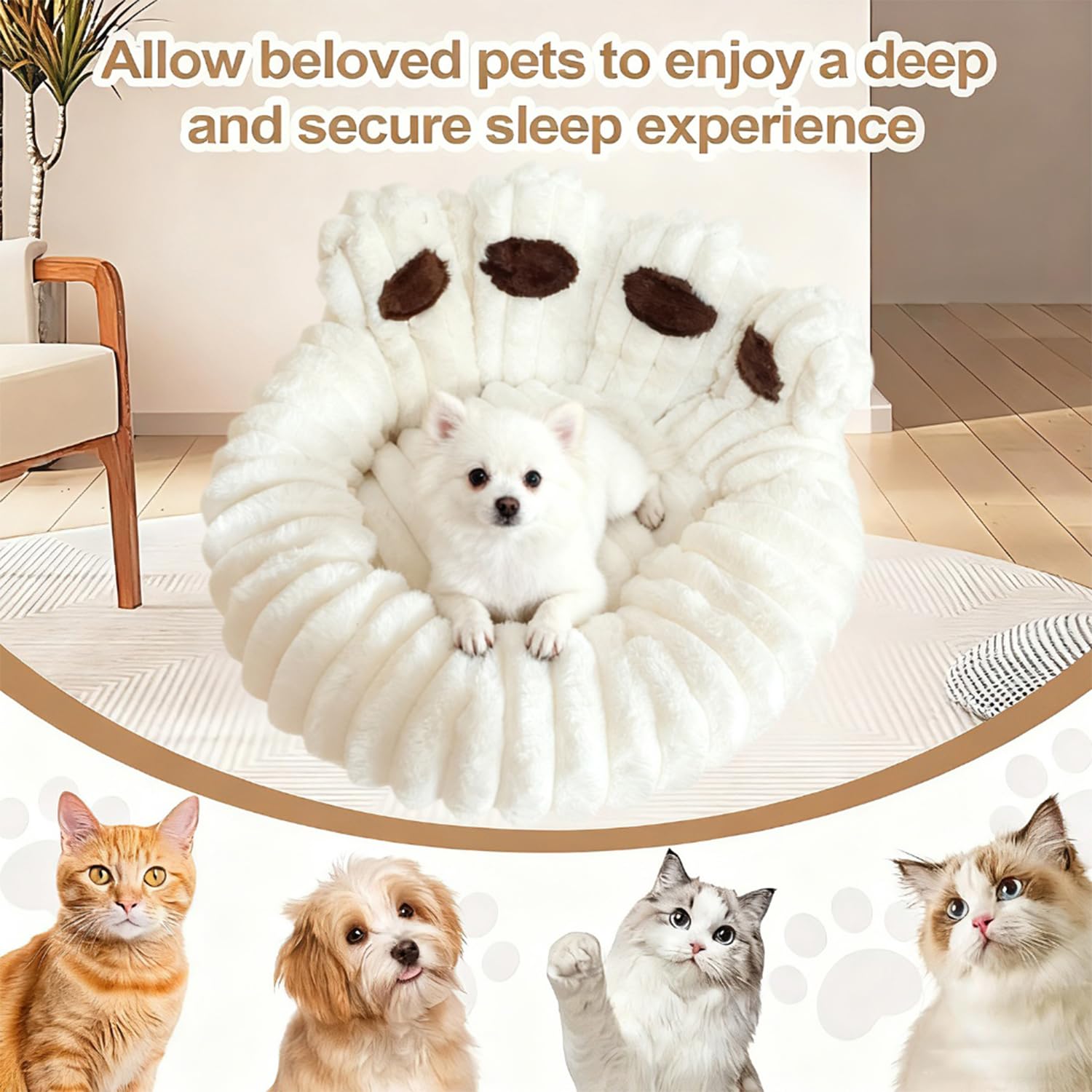 Cuccia Cane Interno Letto Morbida per Cani Lettino Gatto Lettino per Animali Domestici Cuccia per Gatti Fluffy Peluche Letto per Cani Lavabili Antiscivolo (Beige, 60cm)