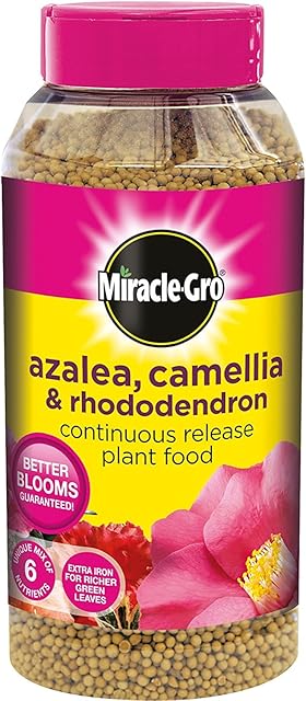 Miracle-Gro Azalea, Camellia and Rhododendron Continuous Release Plant Food Shaker Jar, 1 kg (2)
