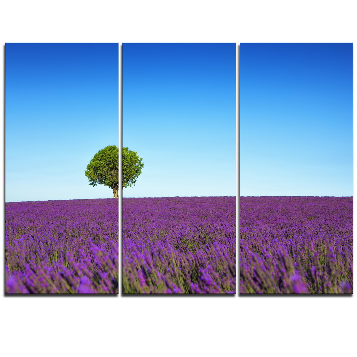 Tableau de fleurs nordiques, impressions murales - impression sur toile - Sayaka Miko, Elements