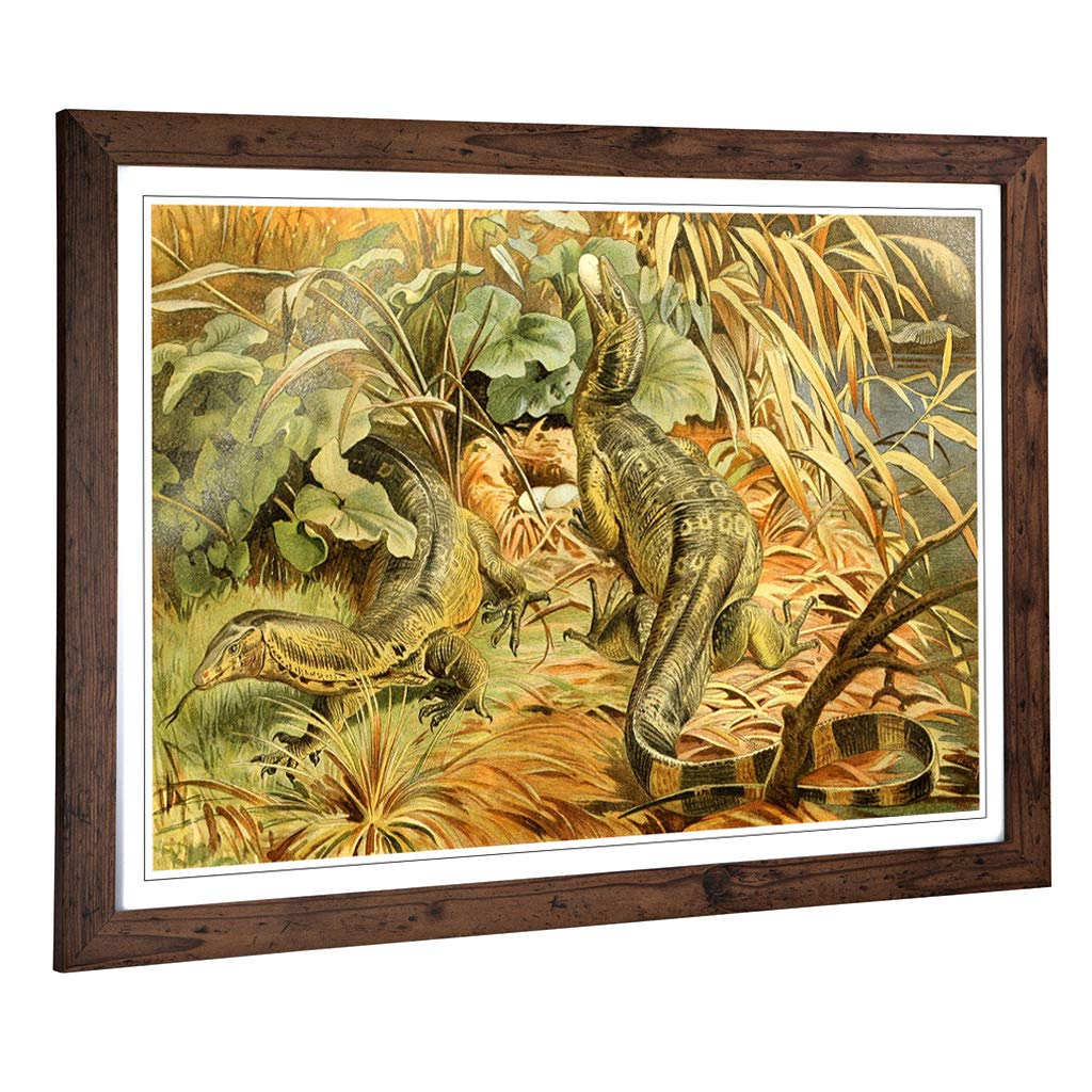 Big Box Art Framed Print of Vintage Brehms Tierleben 1913 Water Monitor Design | Wall Art Picture | Home Decor for Kitchen, Living Room, Bedroom, Hallway, Walnut, A2 / 24.5x18 Inch / 62x45cm