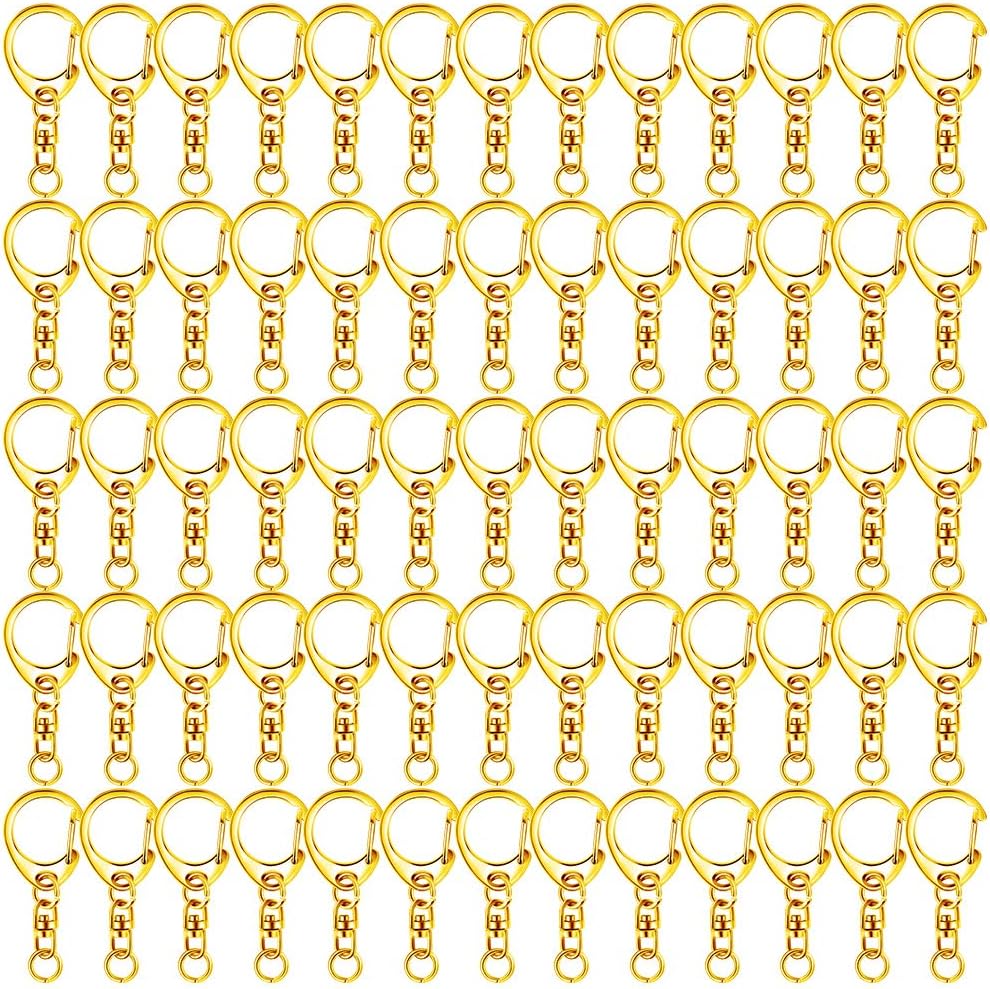Roctee 120 Pcs Key Chain Clip D Snap Hook Split Metal