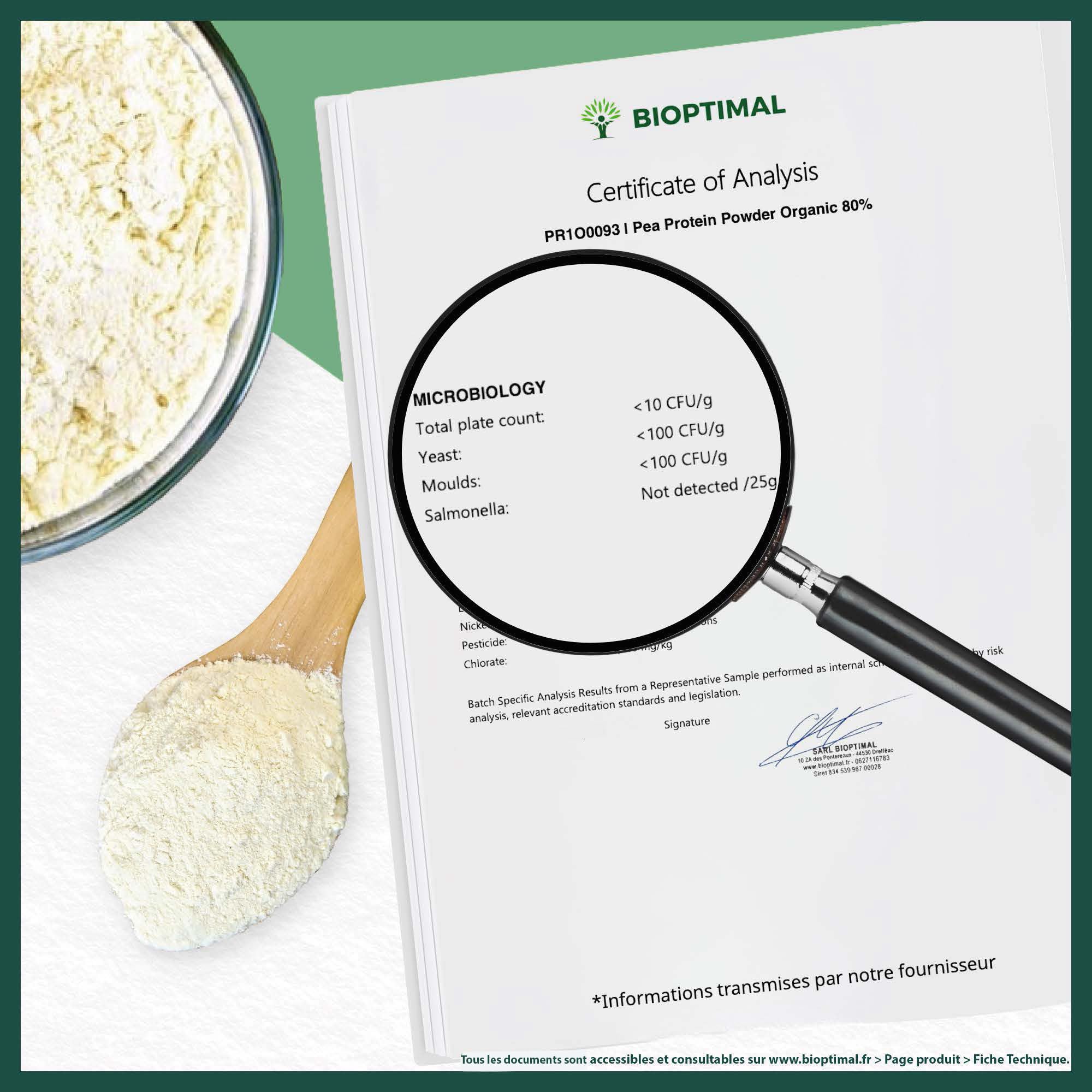 Proteina di Pois Bio - Biottimale - 80% Proteine - 12% BCAA - Alta Digestibilità - Energia Sport Musculare - Polvere di pois Giallo - 100% Puro - Confezione in Francia - Certificato Ecocert - 3 kg