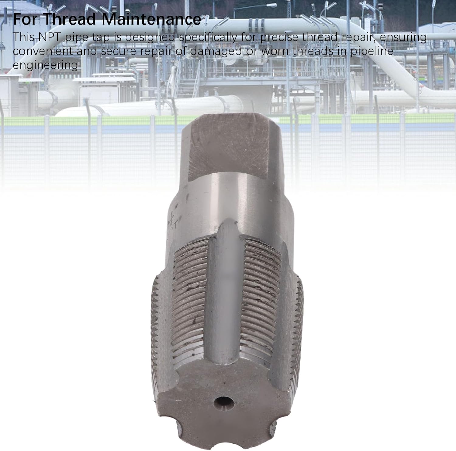 1-1/4 Inch NPT Pipe Tap High Speed Steel Pipe Threading Tool for Plumbing, Internal & External Pipe Thread Repair, Tap and Plastic Storage Box, for Water Pipe Maintenance
