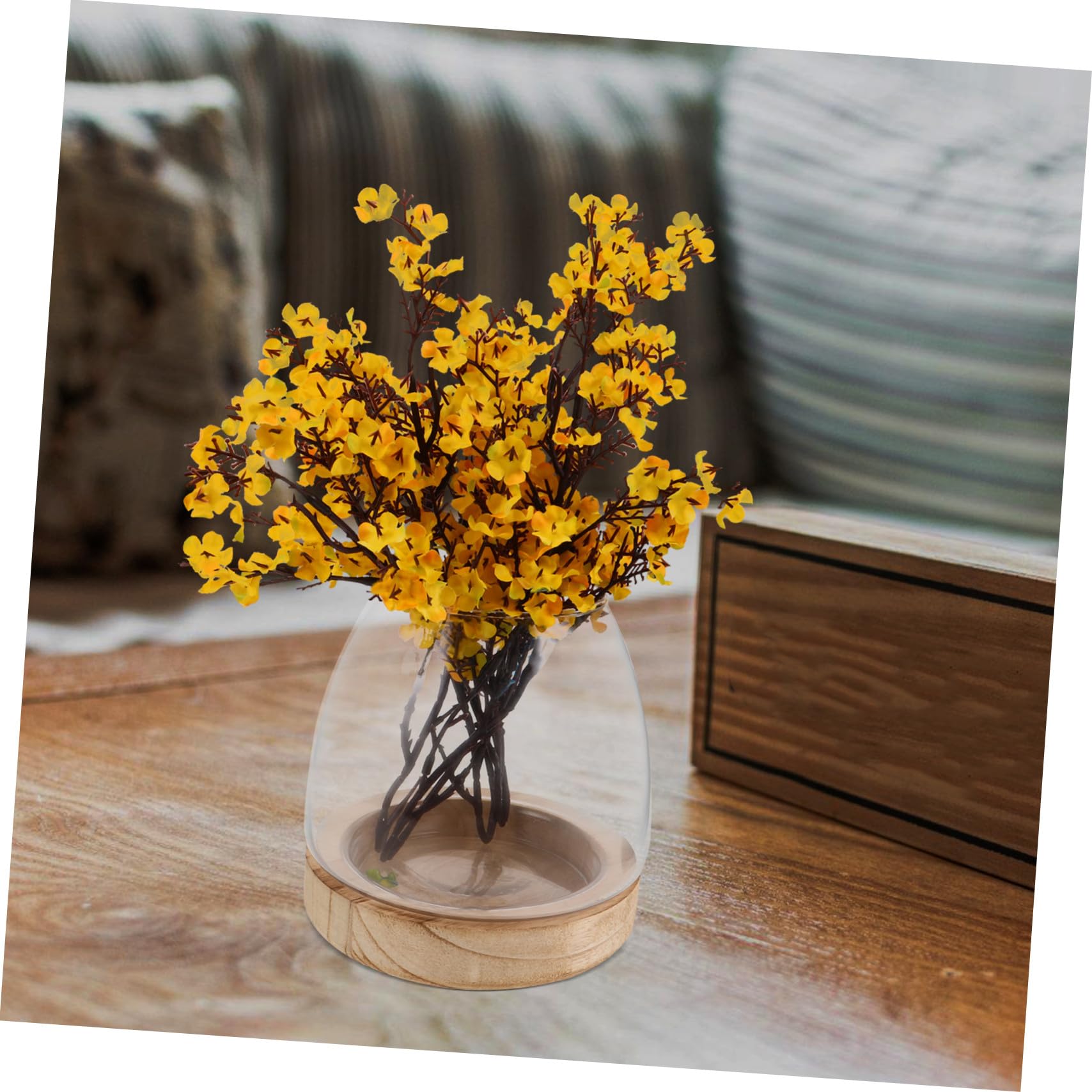 Vase Hydroponique Verre avec Base Station de Propagation Claire pour Plantes Intérieur Terrarium Décoratif pour Bureau et Maison Aquarium Végétal pour Micro-Paysage