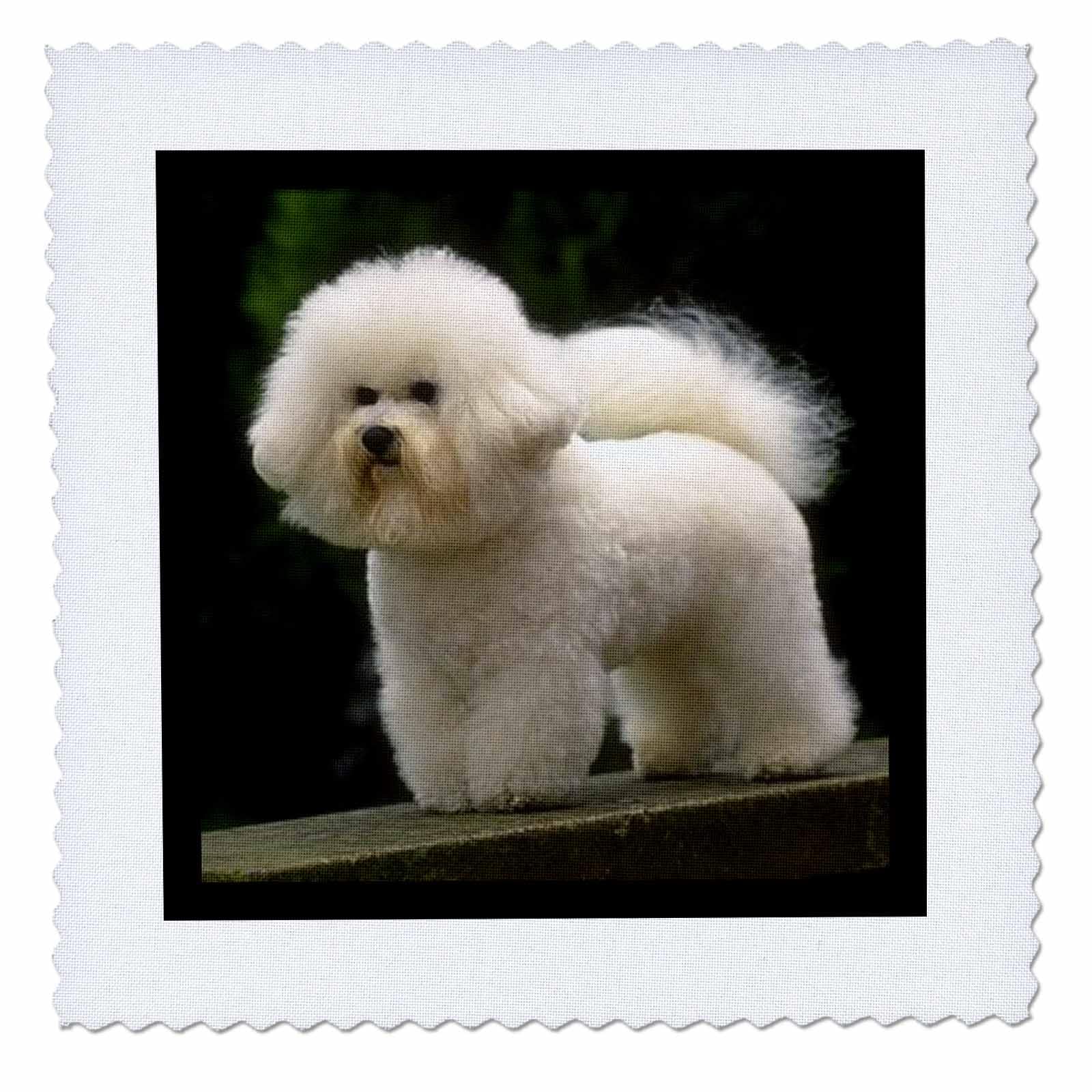 3dRose Quilt Square, Multicolor