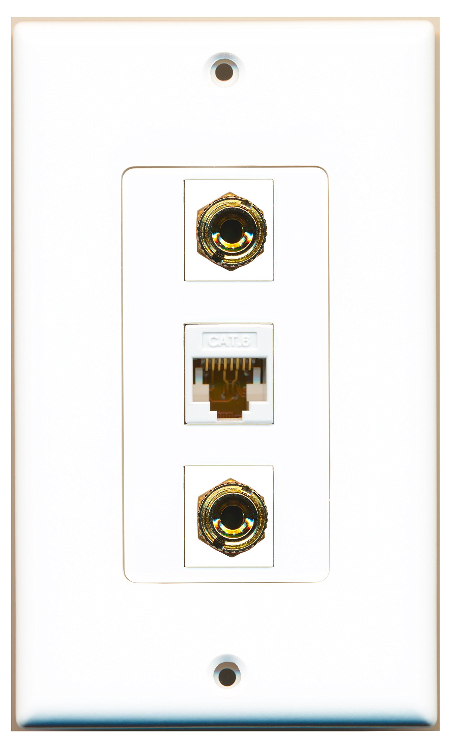 Piastra Da Parete RiteAV CAT 6A Schermata - 2 Porte, Colore