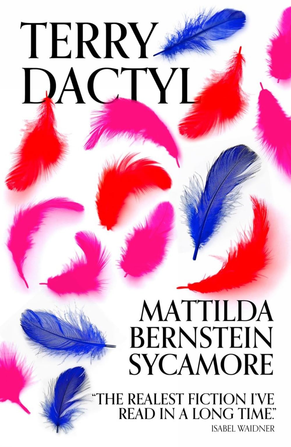 Terry Dactyl by Mattilda Bernstein Sycamore PAPERBACK 9781917008150