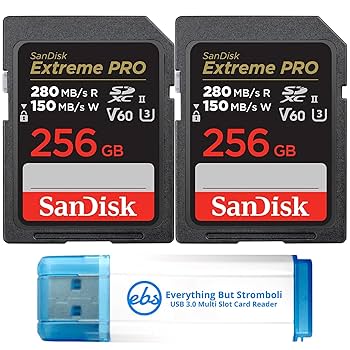 SanDisk - SanDisk microSDカード 256GB Extreme A2（2個） Amazon.com: SanDisk 256GB Extreme microSDXC Card for Mobile