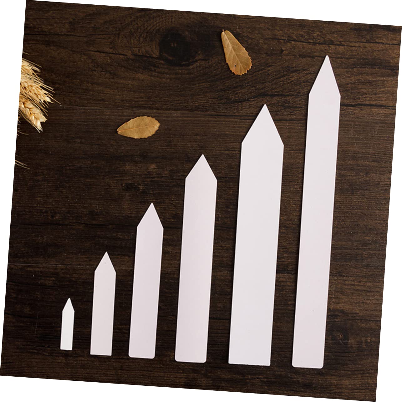 Etichette per Piante in Plastica 10x2cm Bianche 1000 Pezzi | Altamente Visibili, Facili da Scrivere e Usare, Impermeabili, per Orto e Giardino Botanico