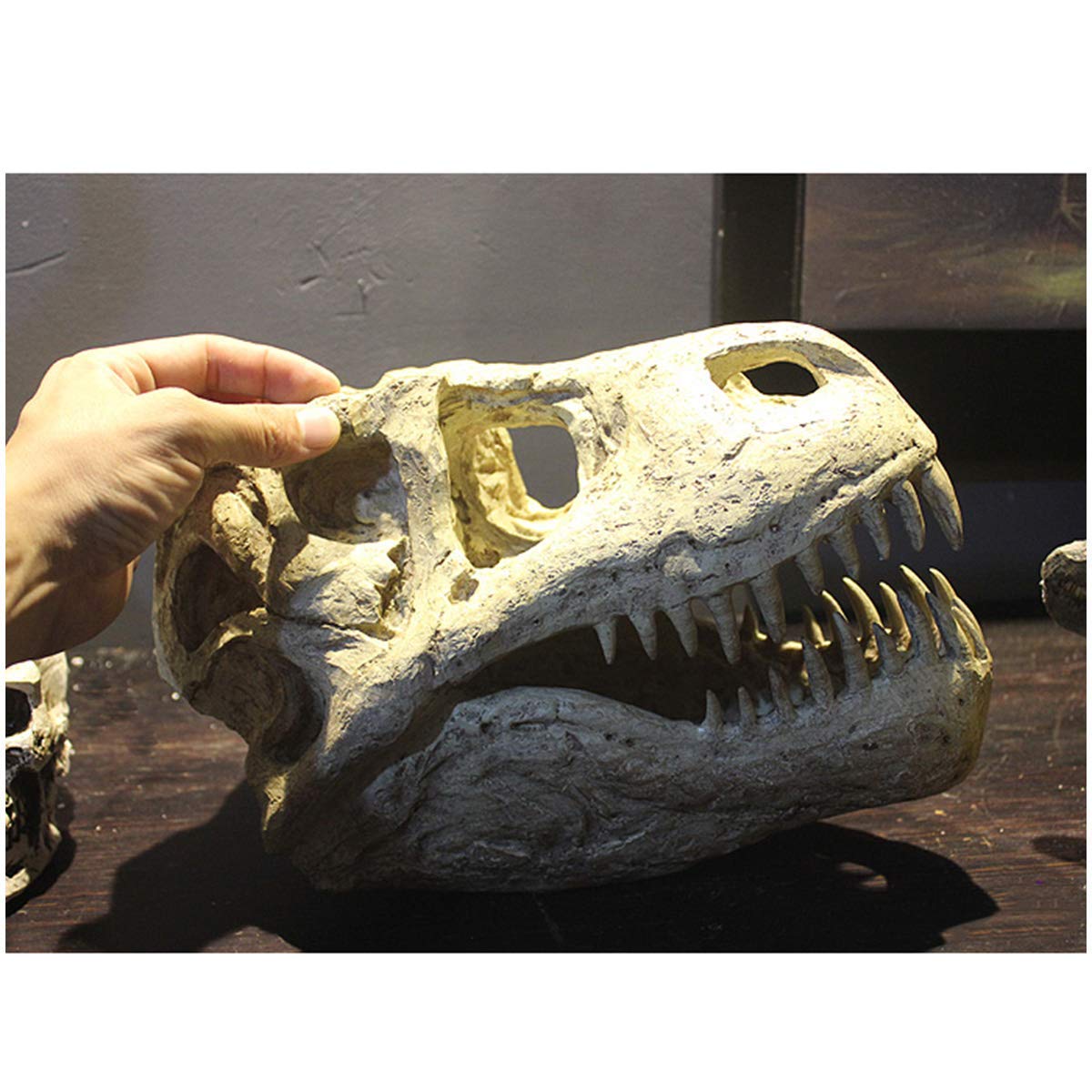 Amazon.co.jp: 大型恐竜の頭蓋骨の彫刻 T レックスの頭 白亜紀の恐竜の
