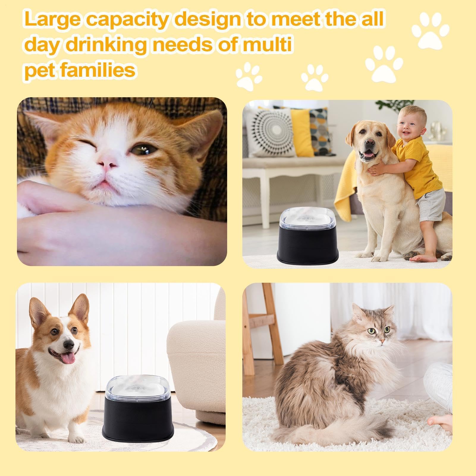 Gamelle d'Eau Anti-Débordement pour Chien Avec Disque Flottant Antidérapant | Gamelle d'Eau Anti-Éclaboussures pour Chien pour Intérieur Extérieur Maison