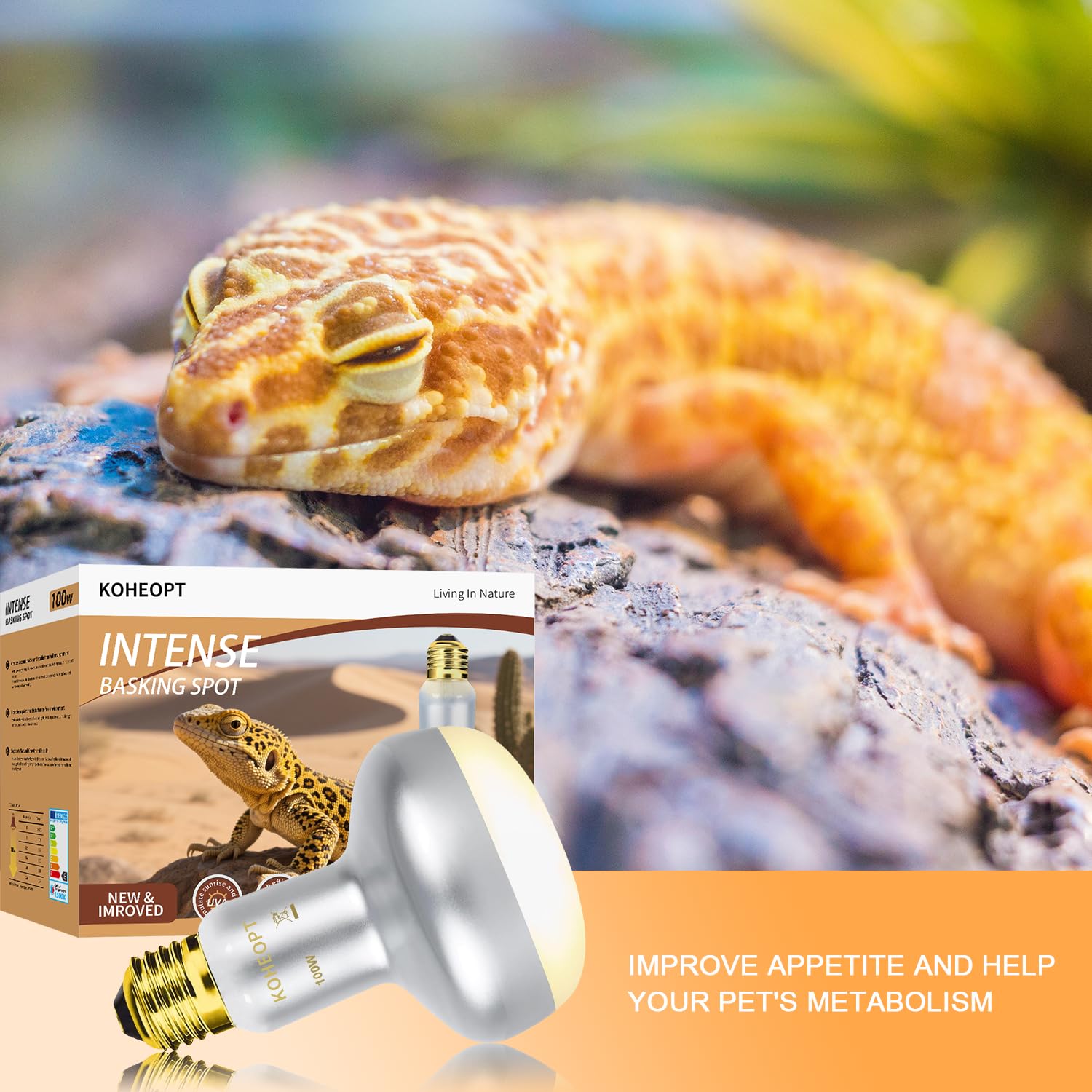 KOHEOPT Reptile Heat Lamp 100W,(2 Pack) Heat Emitter UVA Heat Lamp Bulb,Intense Basking Spot Simulated Natural Sunlight Heating Lamp Bulb, Fit E26 Pet Lighting fixtures,for Bearded Dragon, Lizard - image 3