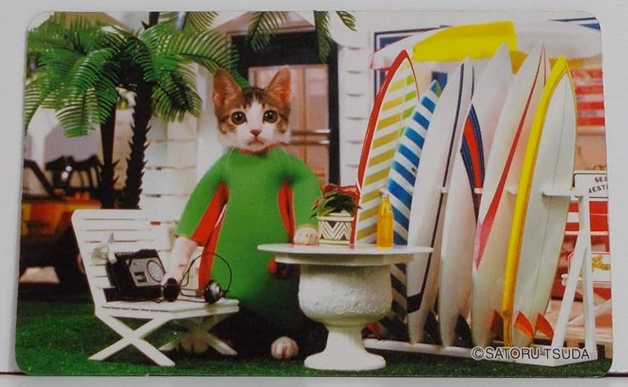 Amazon.co.jp: 【平成8年生まれ】ニャン太郎（なめねこ カード