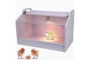 Chick Brooder Cage: The Ideal Chick Shelter