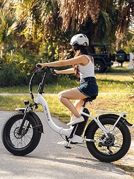 Ioan ranger Heybike Ranger 500W Electric Bike, 48V 15Ah Battery, 20