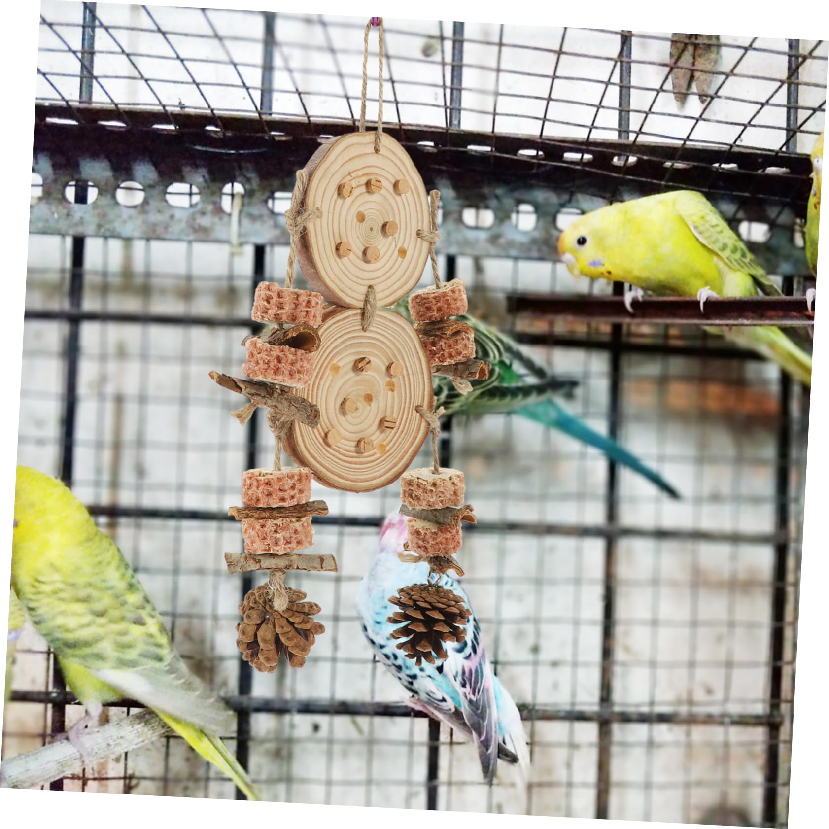 Toddmomy 4pièces Jouet à Mâcher pour Perroquet Accessoire Suspendu pour Cage Oiseaux Jouet Naturel avec Cônes De Pin Divertissement pour Perruches Et Perroquets