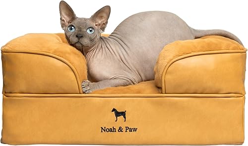 NOAH & PAW Cama pequeña para perros, 20 x 15 x 8 pulgadas, cama para gatos de interior, espuma viscoelástica ortopédica de cáscara de huevo