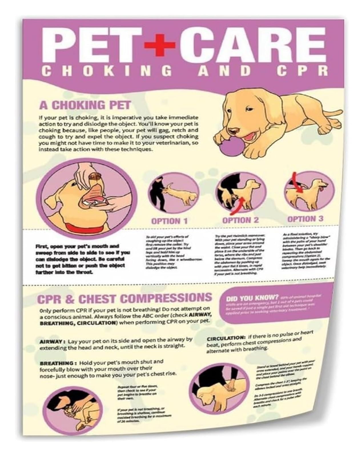 KCDFDVJFBM Dog First Aid Chart Set of 2 CPR and Airway Obstruction Posters Quick Reference Guide for Pet Owner Education(Unframed,08x12inch(20x30cm))