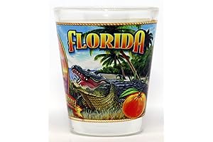 Florida State Mural Shot Glass