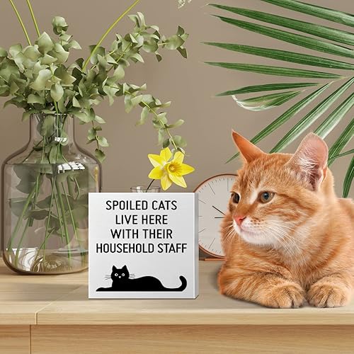 Miniatura 9 de Cartel de madera para decoración de escritorio con diseño de gato, diseño de gato divertido para el hogar, dormitorio, oficina, amantes de los