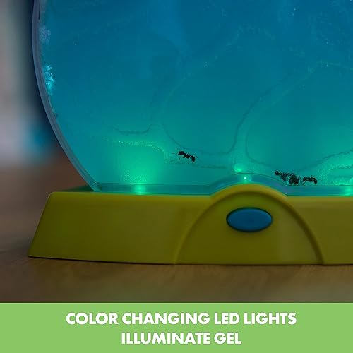 Miniatura 7 de Educational Insights GeoSafari Day N Night Hormiguero