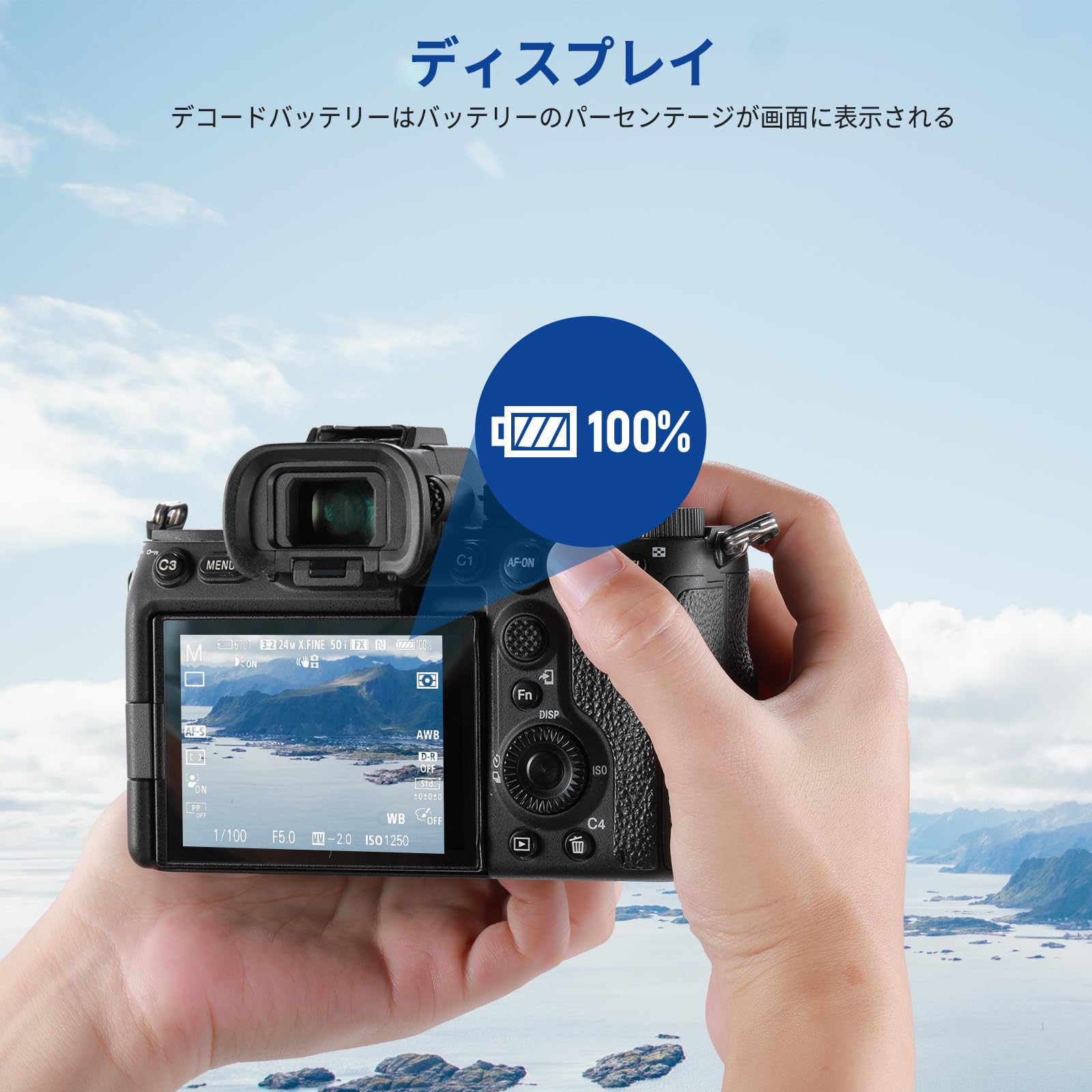 Amazon | NEEWER 2280mAh NP-FZ100 交換バッテリー 2個 USBデュアル 