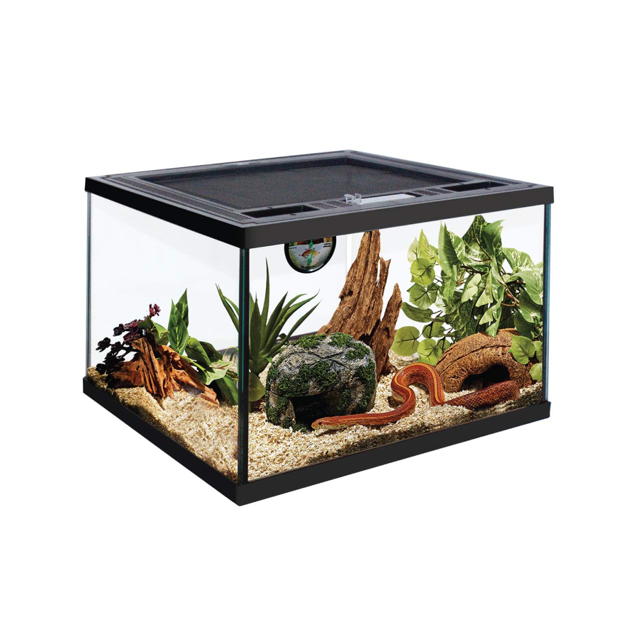 Glas-Terrarium Push Up mit Belüftungsöffnung und Futterloch für Lebende Reptilien Bartagamen, Leguan (30,5 x 30,5 x 20,3 cm)