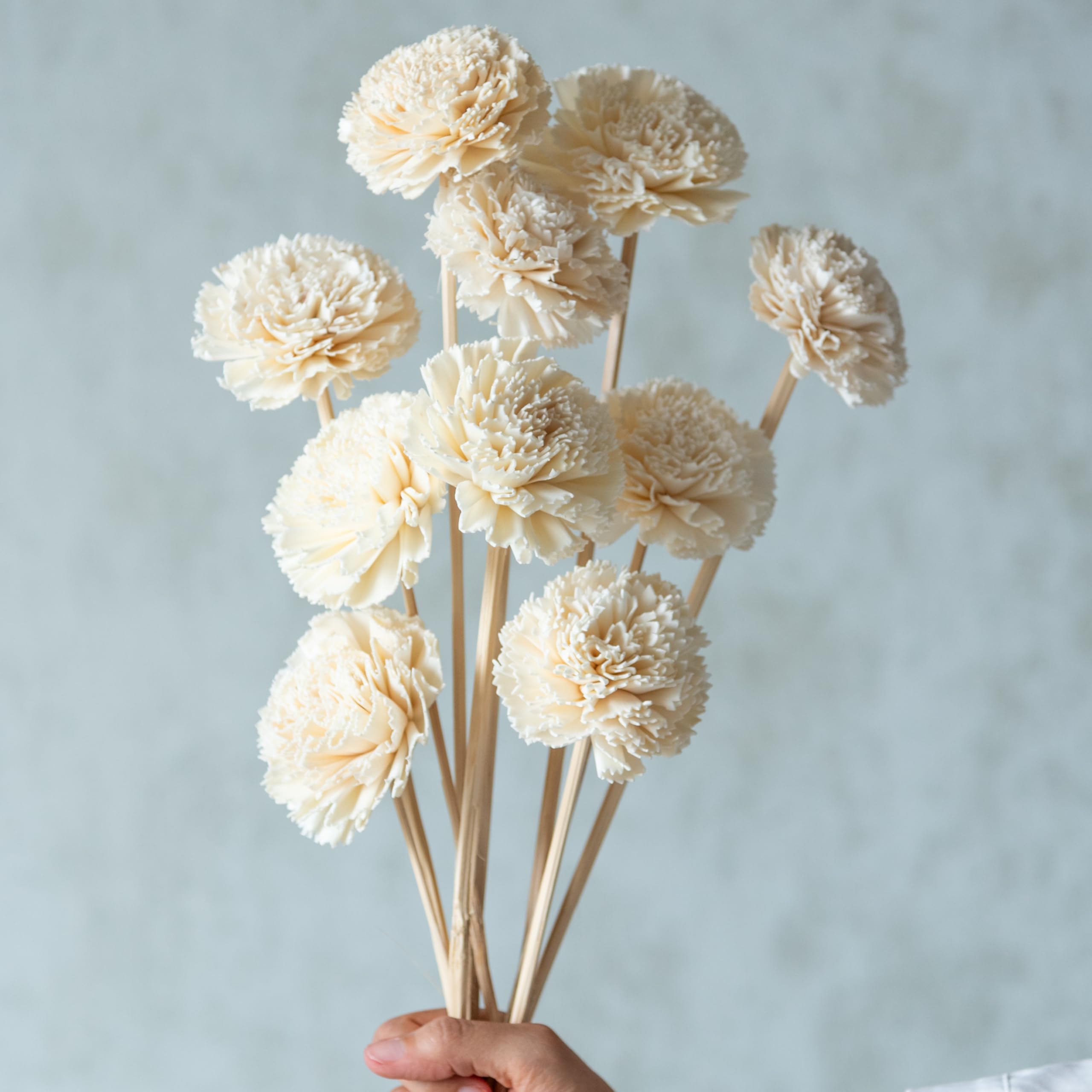 Flowers and Fillers | White Carnation Sola Flower Sticks (10 Sticks) | Dry Flower Bouquet, | Includes Sola Flower, Table Decoration, Vase Filler, Home Decor (Vase not Included)-image-49