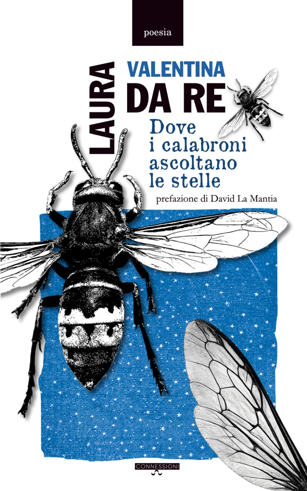 Dove i calabroni ascoltano le stelle: 3 (Sentieri Interrotti)