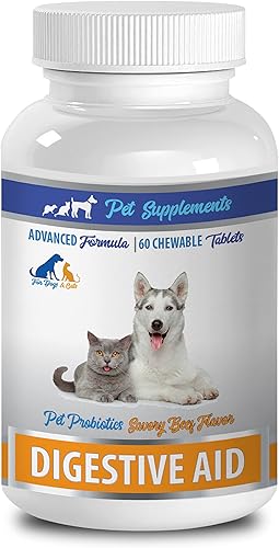 Cat Digestive Enzimes  Ayuda Digestiva para Mascotas  Probióticos  para Perros y Gatos  Masticables  Probióticos para Gatos  1 Botella (60