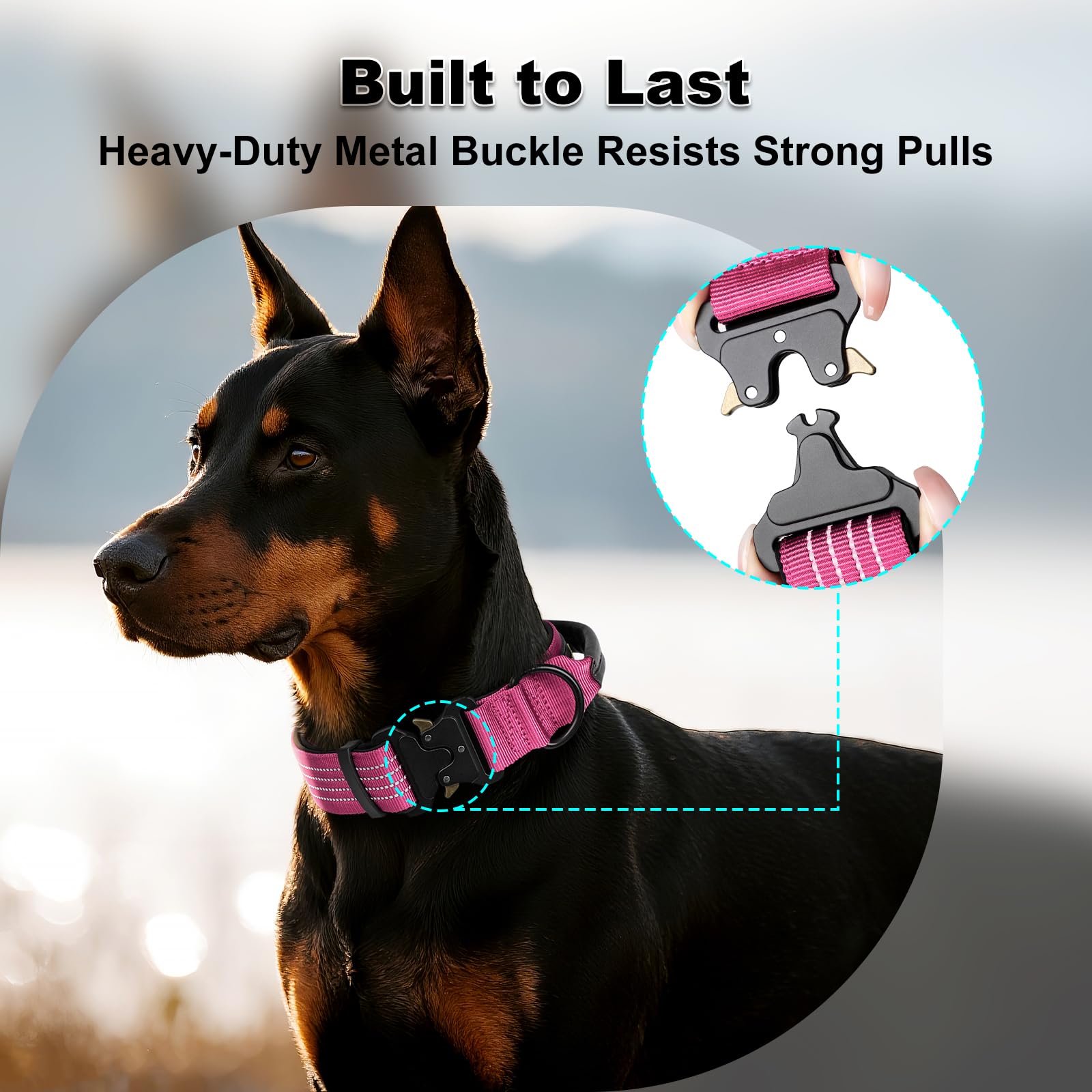 Plutus Pet Tactical Dog Collar with Tracker pocket for AirTag Adjustable Reflective Nylon Collar, Metal Buckle - Image 4