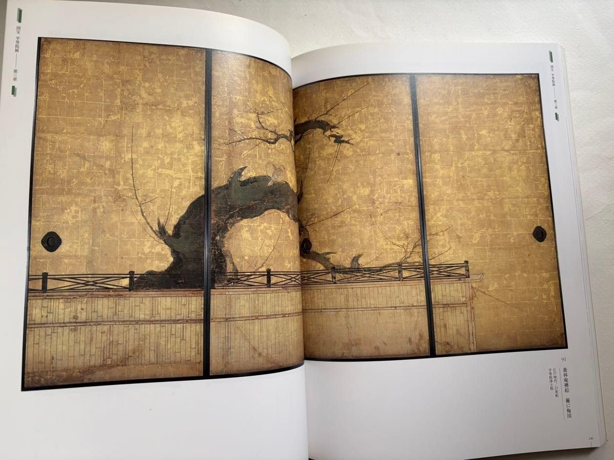 Amazon.co.jp: 国宝平等院展 開創950年記念 図録 文化財 仏像 古美術