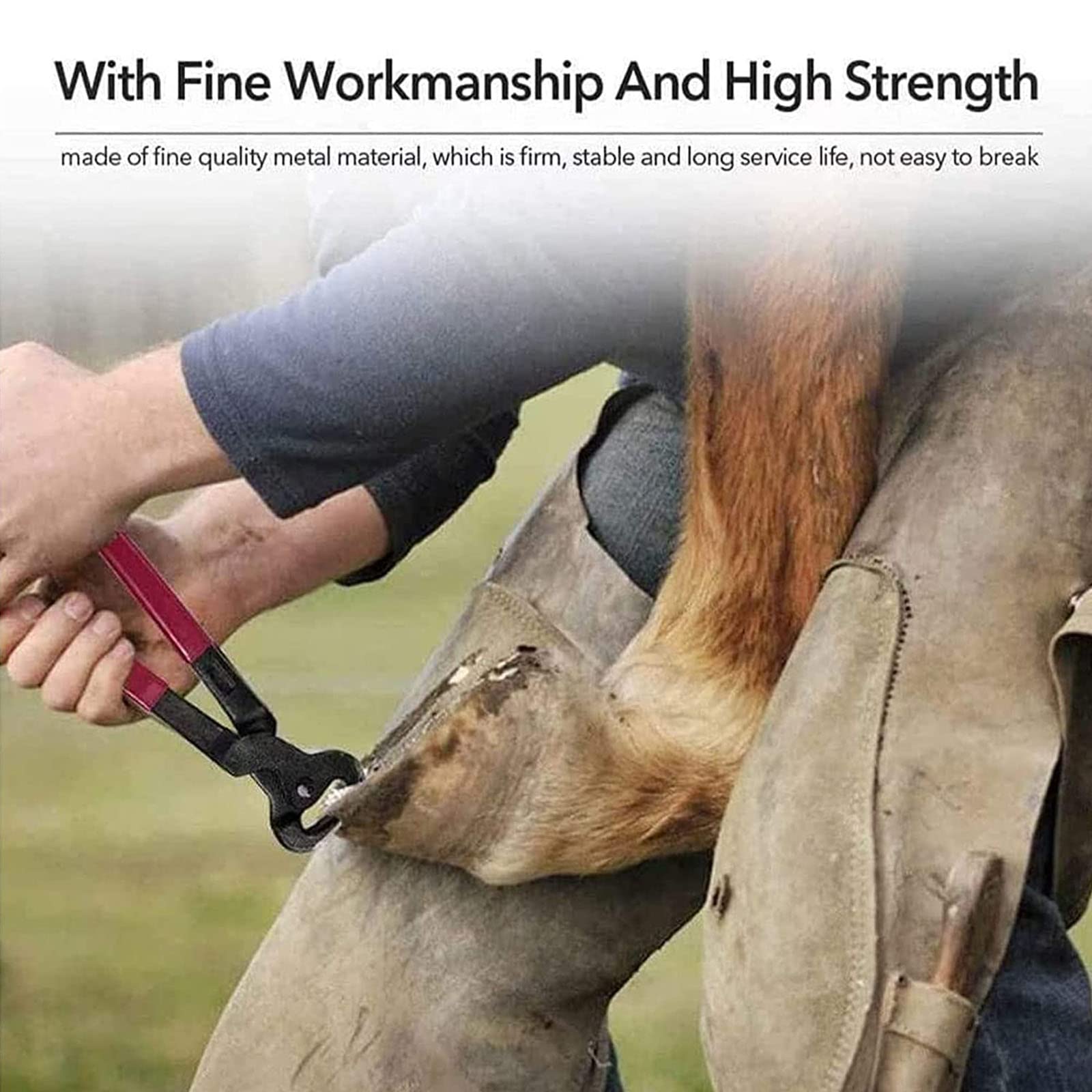 Kit De Herramientas para Recortar Cascos De Caballos, Tijeras De Metal De 14'' para Recortar Cascos De Caballos, Cortador De Cascos De Herradores Equinos con Herramienta,