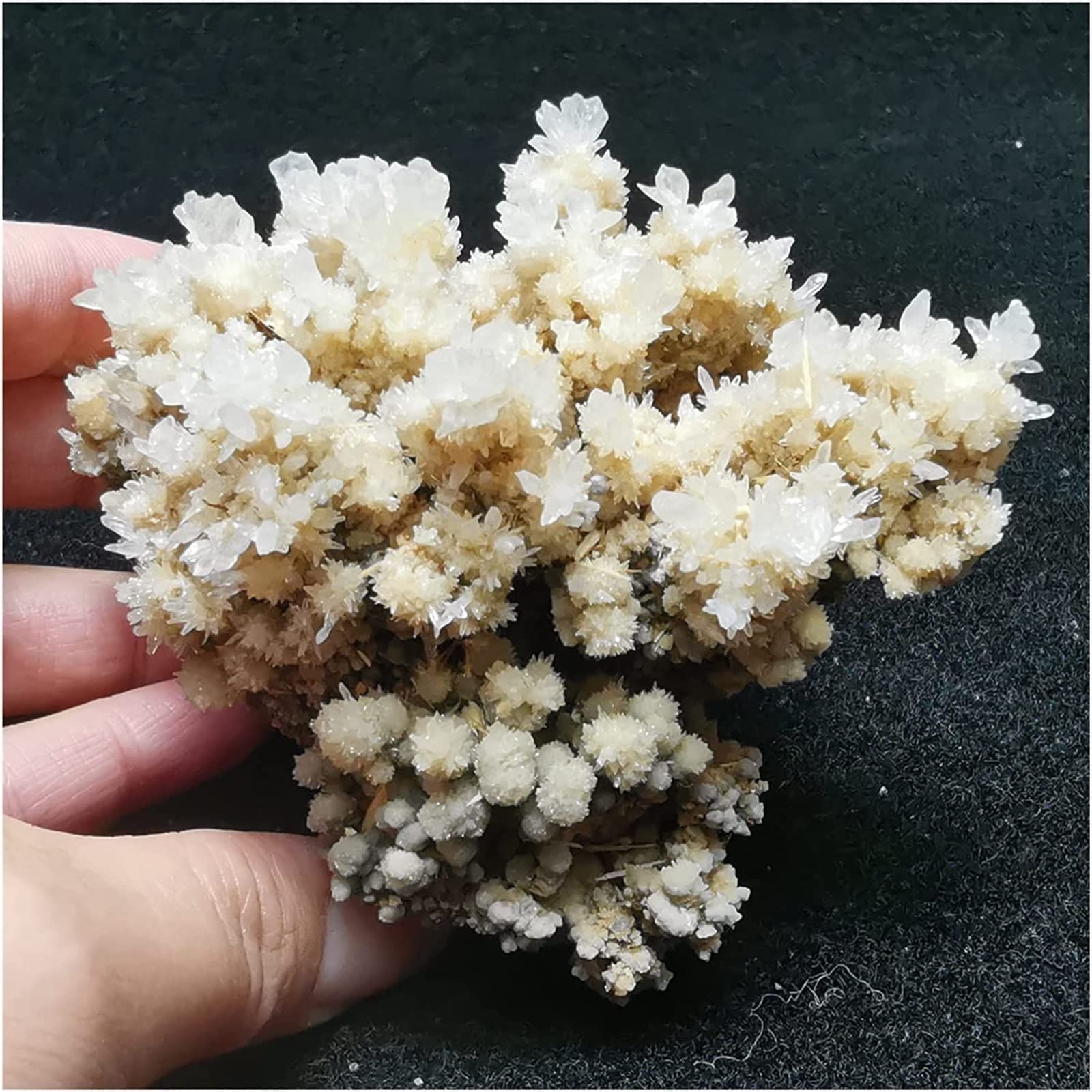 Cristal Naturel Lime de 242g | Pierre de Quartz pour Collection