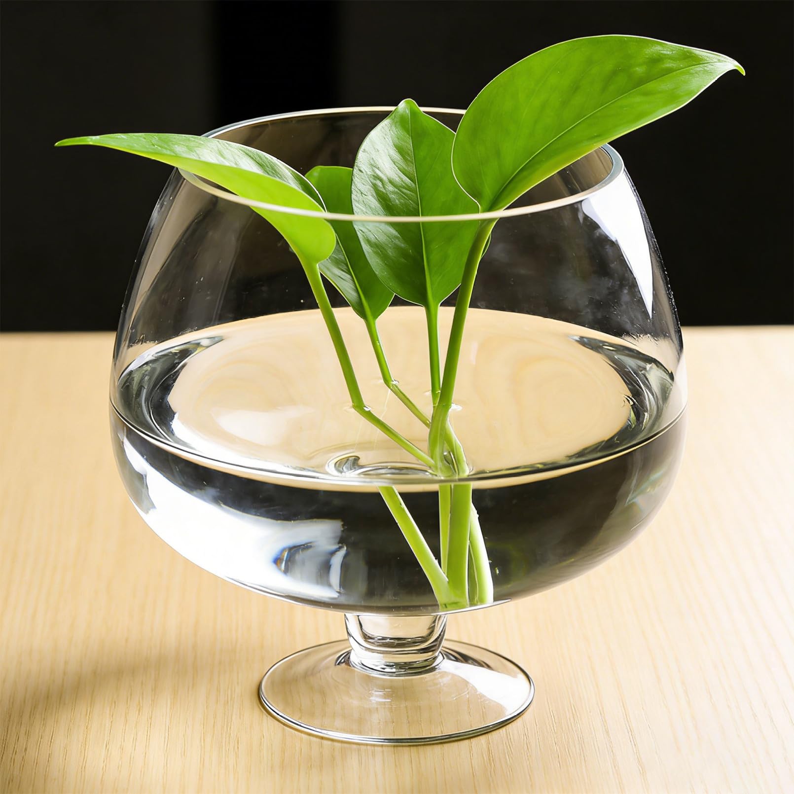 Angoily Acquario Multifunzionale in Vetro Trasparente per Pesci Rossi Betta, Acquario da Tavolo Piccolo e Decorativo per Casa, Ufficio e Giardino, Vaso Idroponico Ecologico e Compatto