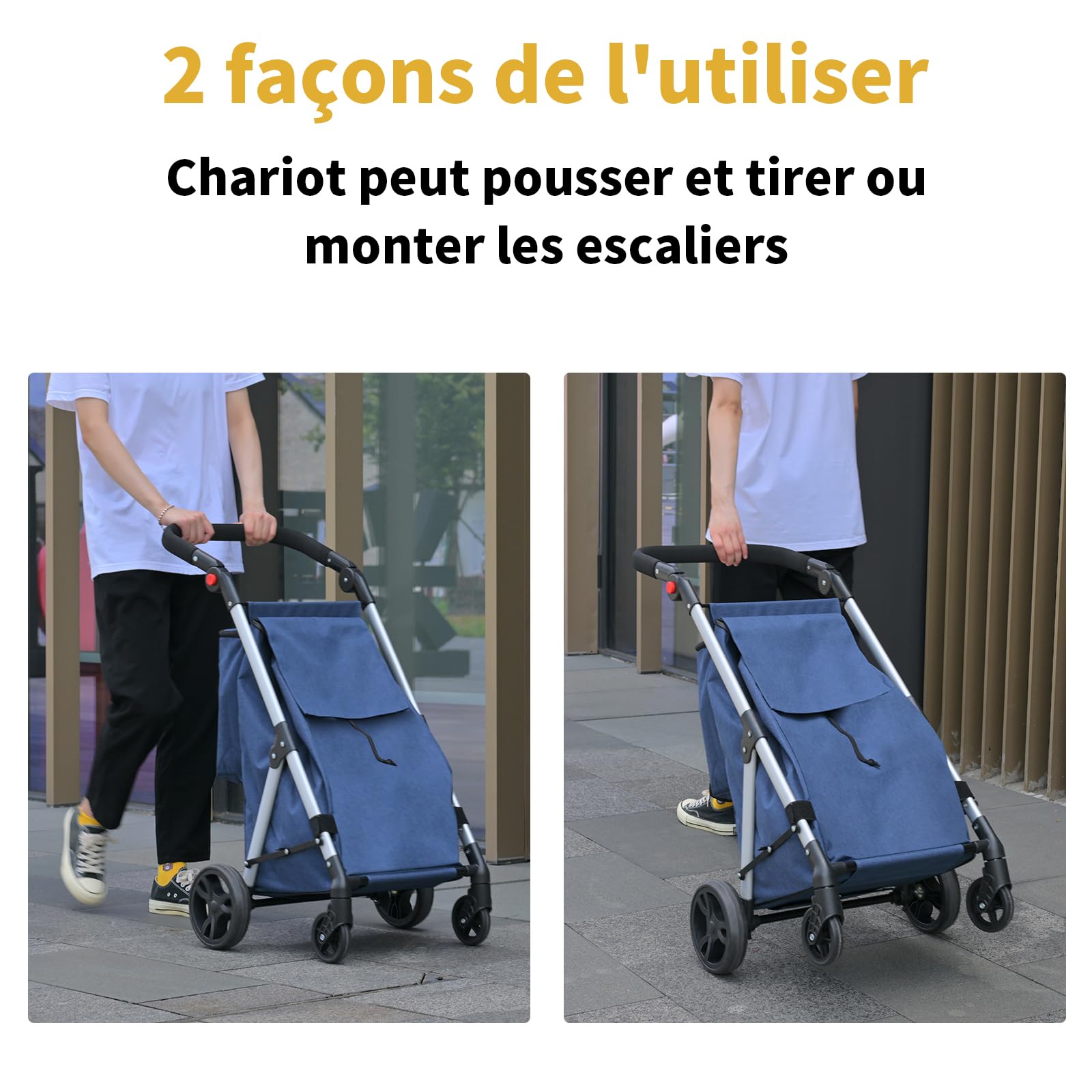 Chariot de Courses, 46L Chariot de Courses 4 Roues, avec Sac Isotherme, Poignées Réglables, Pliable, léger en Aluminium (Gris)
