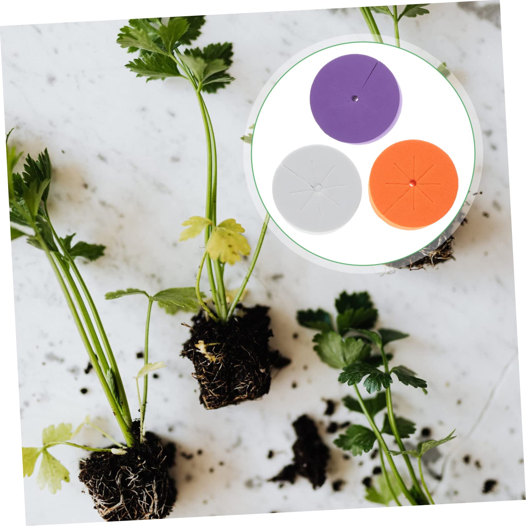 TOYANDONA Collares para Clones De Jardín Cultivo Sin Suelo, Bloques Redondos De Espuma Eva 120 Piezas, Esponja Transpirable Hidratante para Plantación Hidropónica y Trasplante Rápido