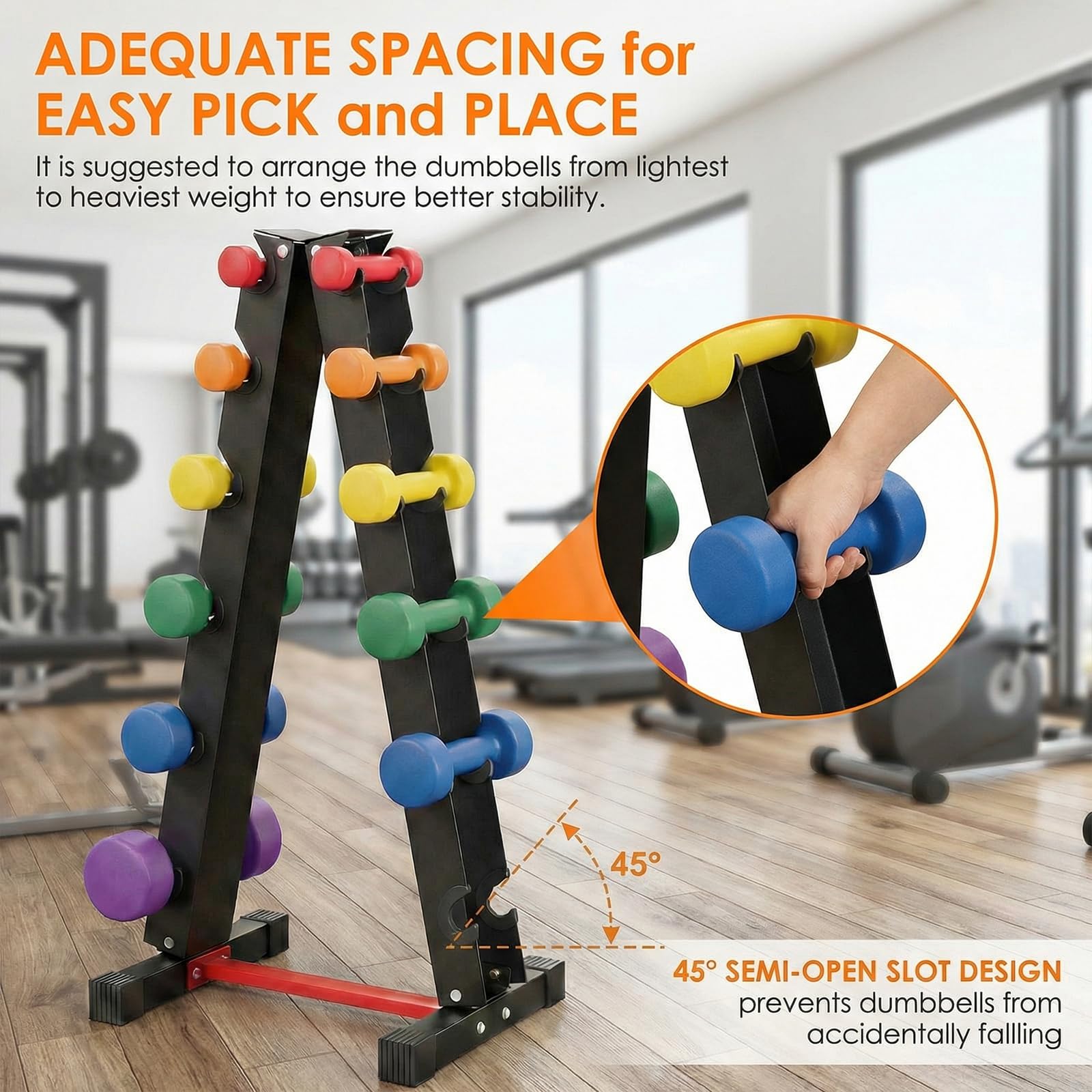 LIFERUN Manubri Rack Porta Pesi Supporto per pesi Palestra Casa Portata max: 300 kg (No Manubri)