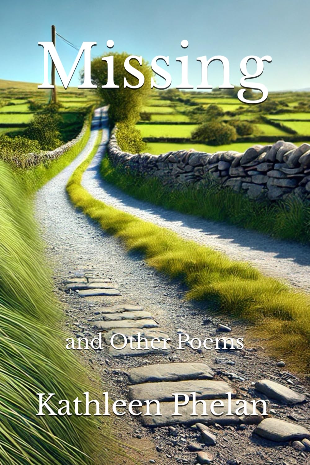 Missing: and Other Poems (Write-on Publications)