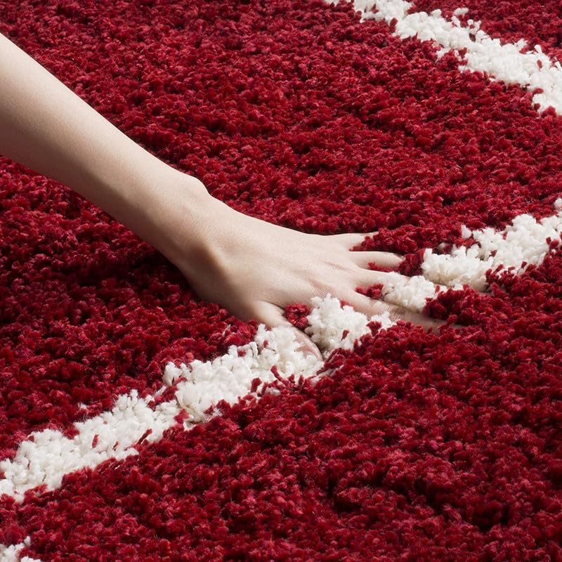 Image of TRANQUIL Polyester Fluffy Fur Rug Shaggy Modern Carpet for Living Room, Bedroom, Guest Room, Kids Room (6x9 Feet, Red Box)