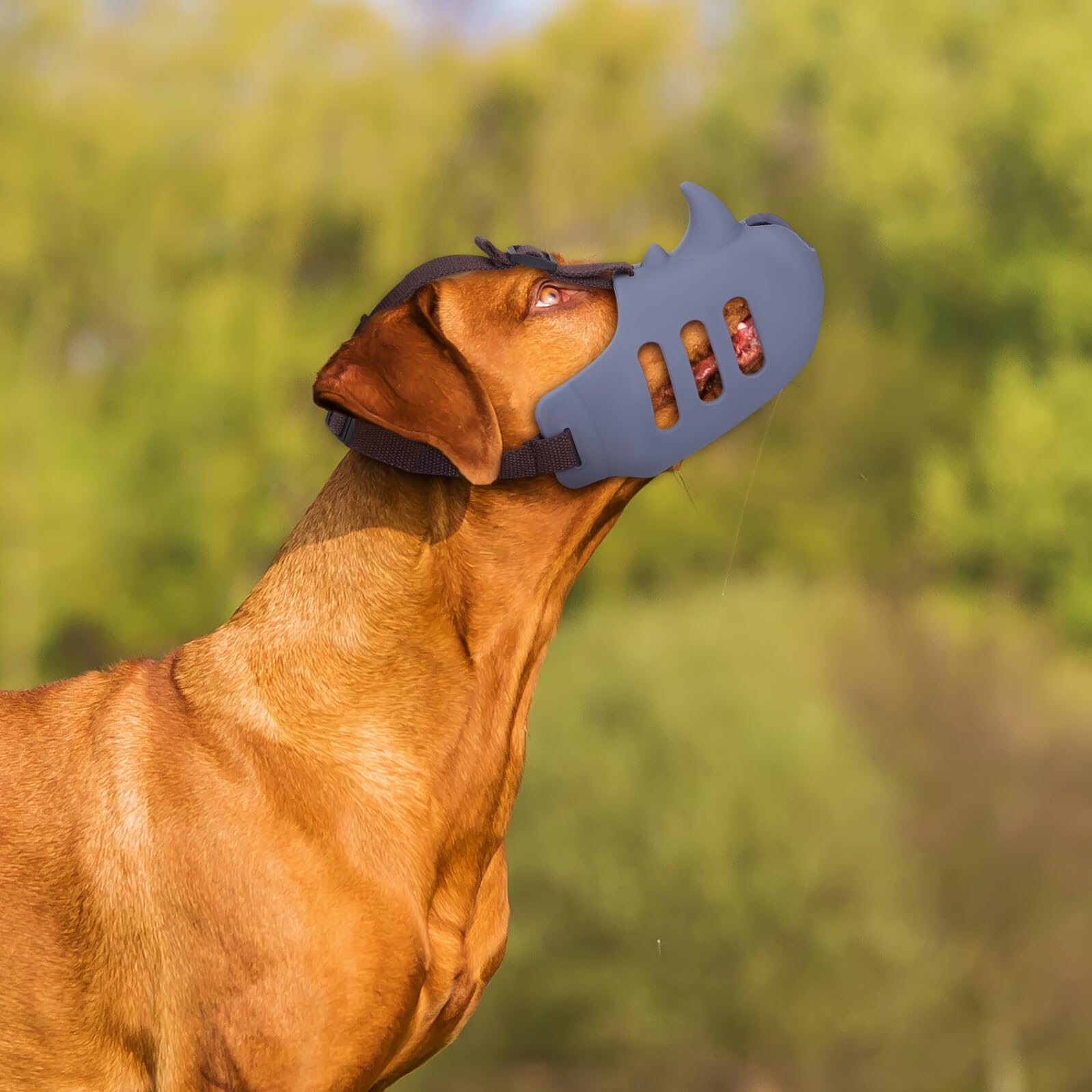 KOMBIUDA 3 pezzi Museruola per Cani Regolabile in Silicone Morbido Antibagno e Antimorso Traspirante e Resistente alle Intemperie per Cani Piccoli Medi e Grandi