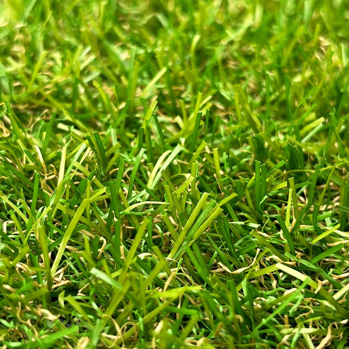 Gazon Synthétique 22mm en 2m de large (2m de large x 5m de long)