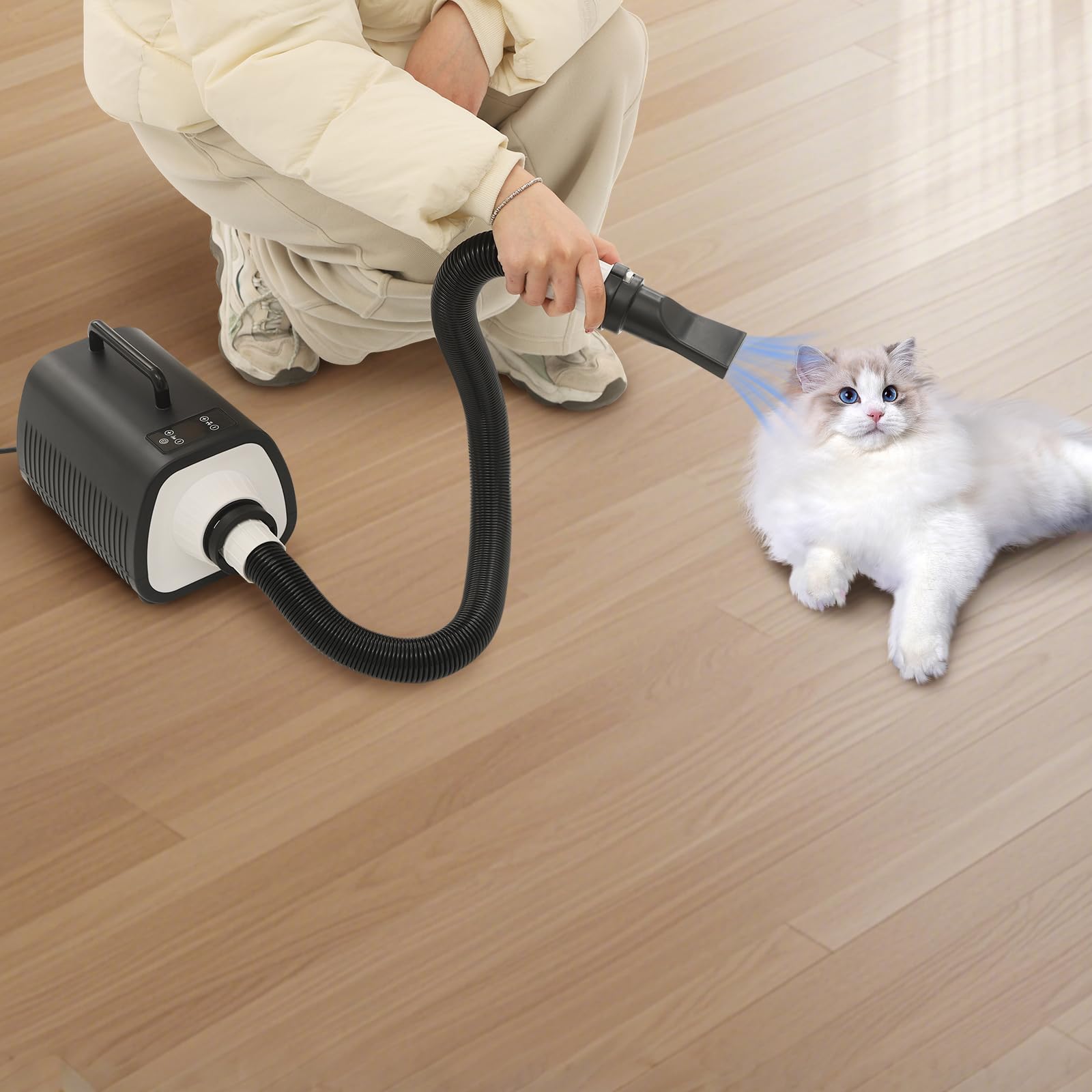 Asciugacapelli per animali domestici, 2100 W, 3 ugelli, 1-9 livelli