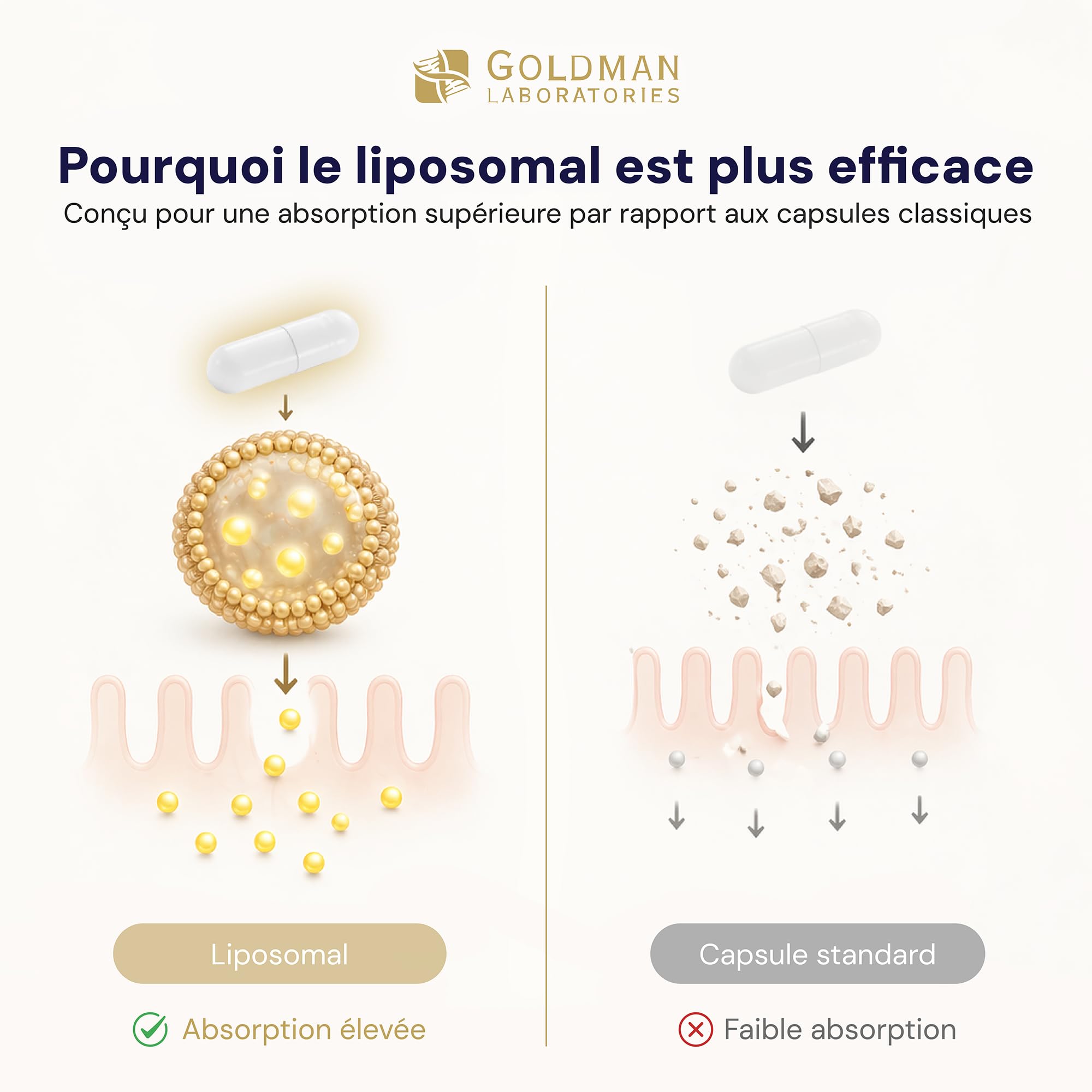 glutathion liposomal goldman Pharm Nature Glutatin 30 Perlas Liposomal Glutathione, Goldman Laboratories -
